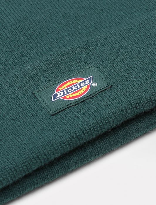 Berretto Dickies Gibsland / Verde - Ideal Moda